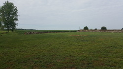 Block Mason - $1,000 Value