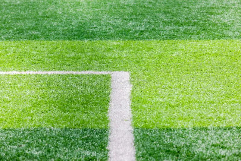 Tournament: Setup Fields - $50 Value