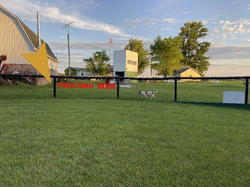 Locke Field: Outfield Fence  (Chain link fabric)